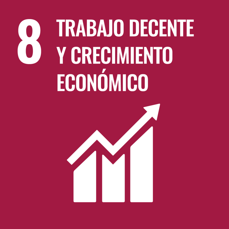 ODS 8 - Trabajo decente y crecimiento económico 