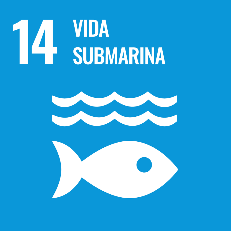 ODS 14 - Vida submarina