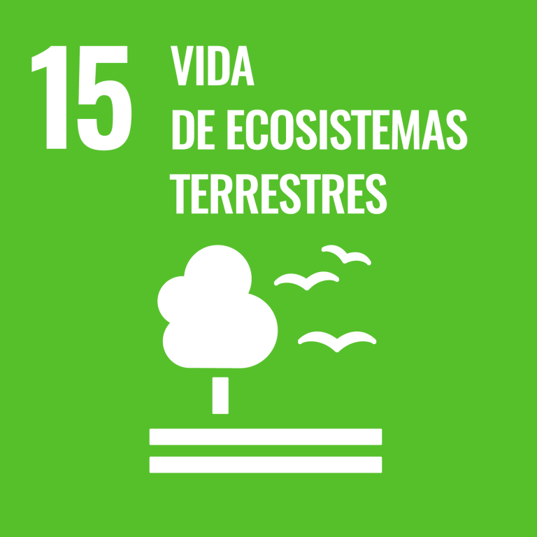 ODS 15 - Vida de ecosistemas terrestres 